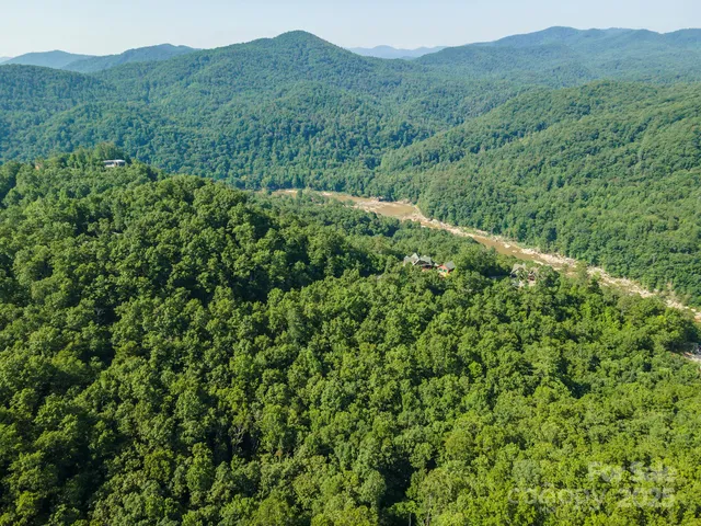a view of a lush green forest with lush green forest