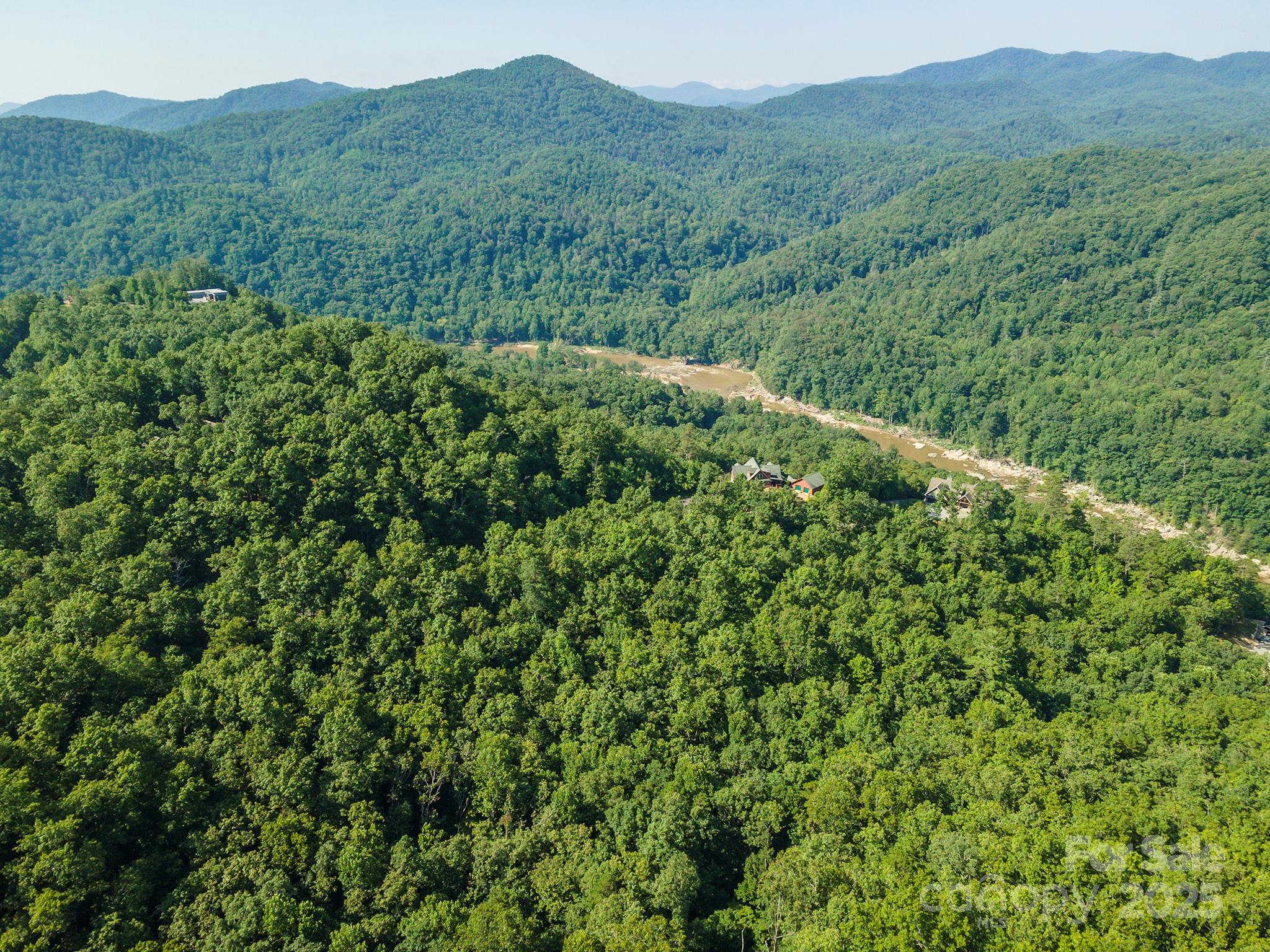 230 White Rapid Road Marshall, NC 28753 - Photo 13 of 29 a view of a lush green forest with lush green forest