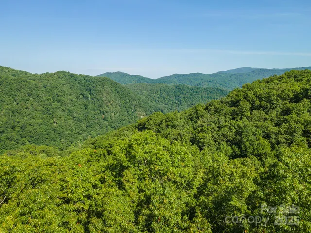a view of a lush green space with sea