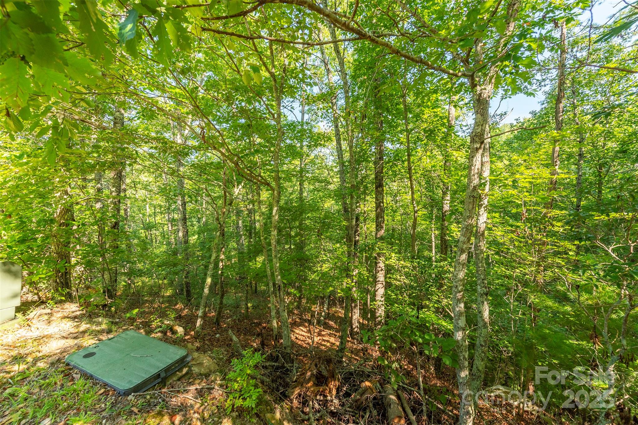 230 White Rapid Road Marshall, NC 28753 - Photo 2 of 29 a view of a yard