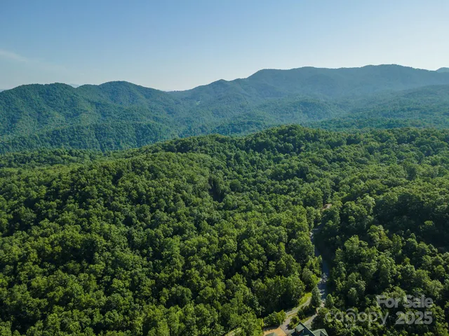a view of a mountain range with lush green forest