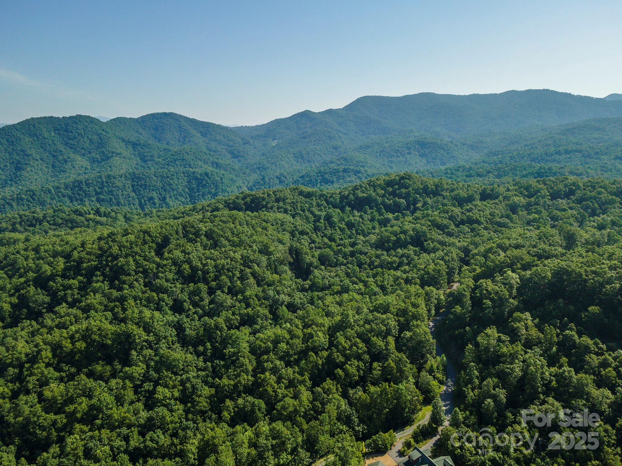 230 White Rapid Road Marshall, NC 28753 - Photo 22 of 29 a view of a mountain range with lush green forest