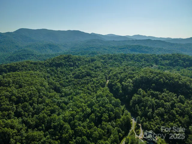 a view of a mountain range with lush green forest