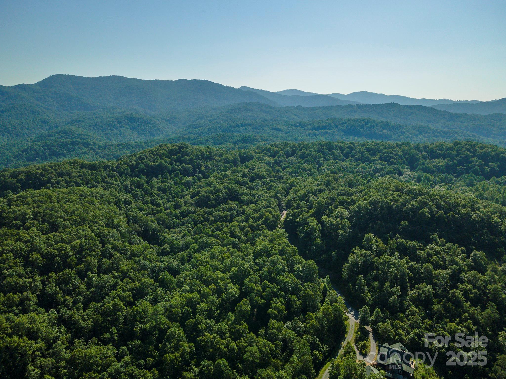 230 White Rapid Road Marshall, NC 28753 - Photo 23 of 29 a view of a mountain range with lush green forest