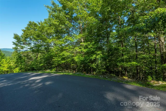 a view of a forest that has a forest
