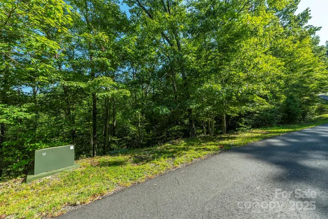 a view of a backyard with swimming pool