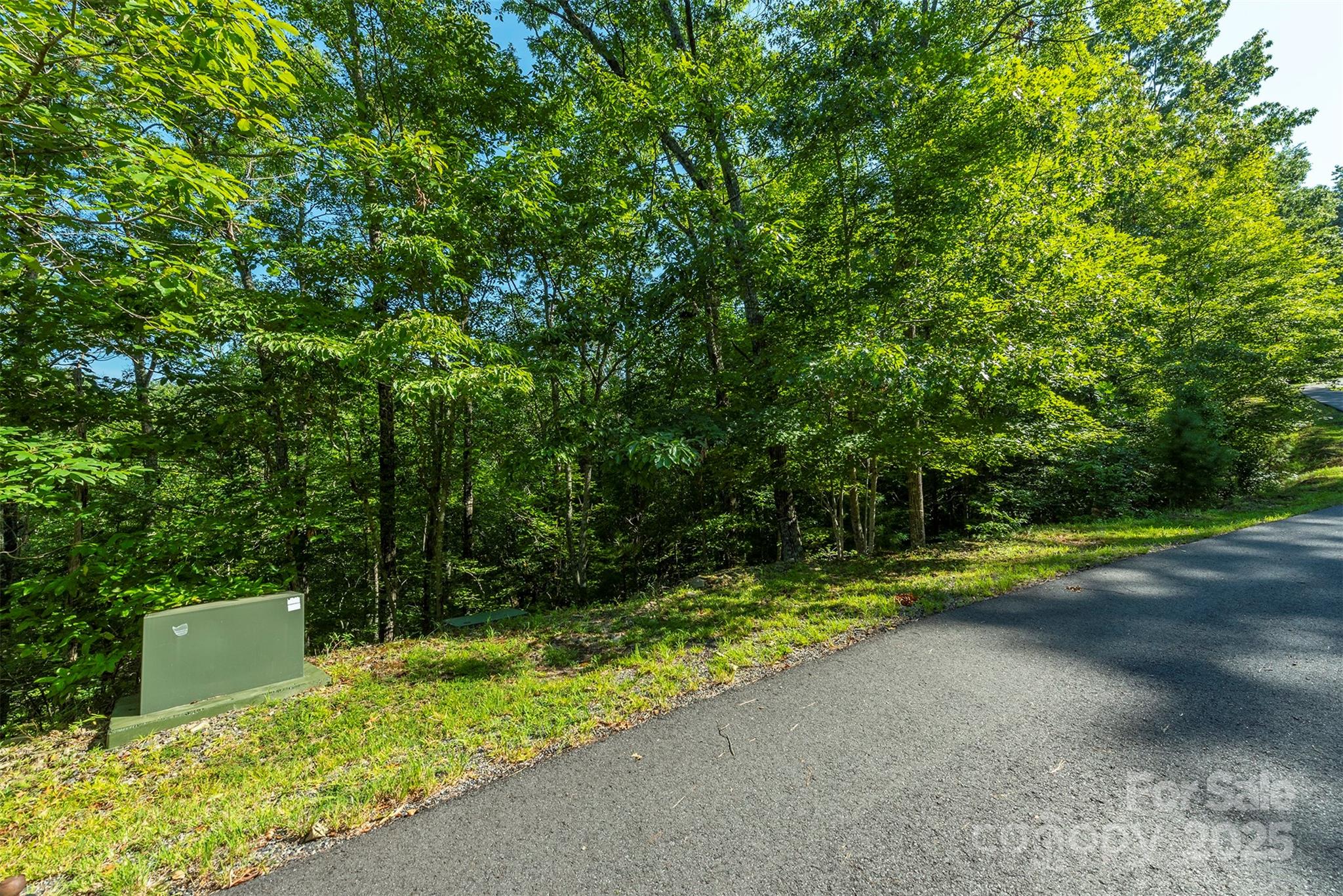 230 White Rapid Road Marshall, NC 28753 - Photo 4 of 29 a view of a backyard with swimming pool