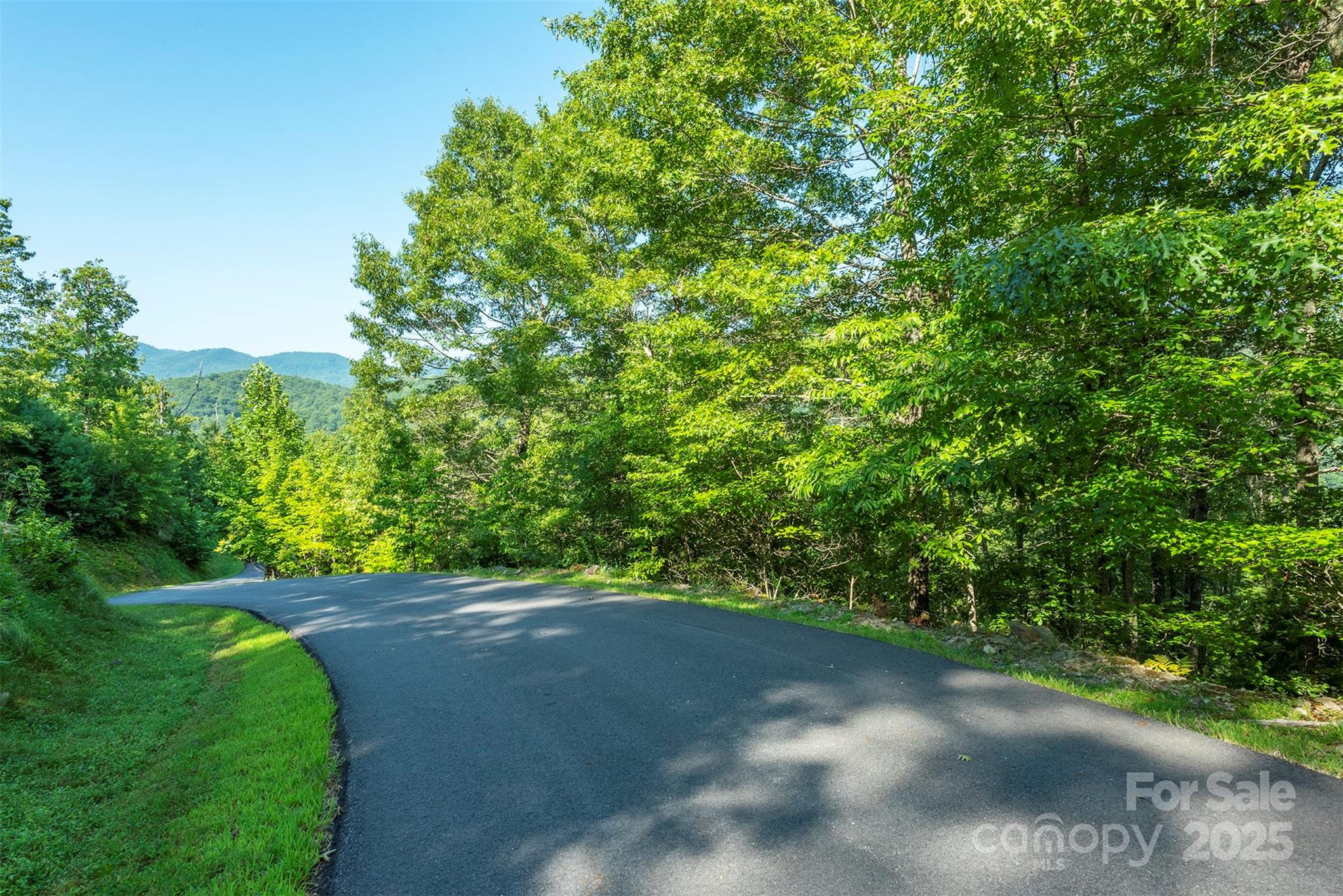 230 White Rapid Road Marshall, NC 28753 - Photo 5 of 29 a view of a forest with a trees