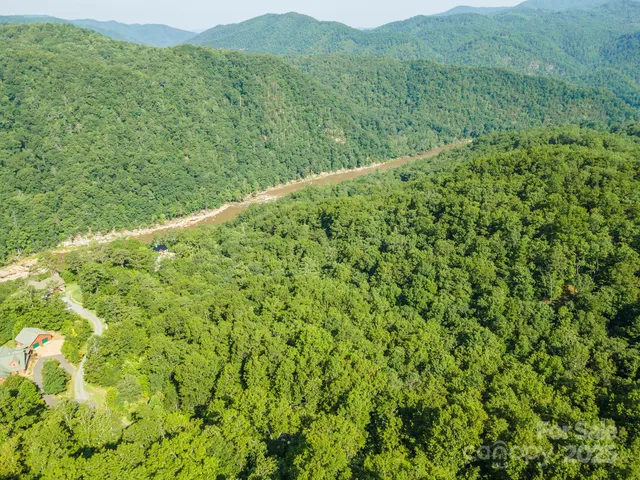 a view of a lush green forest with a mountain