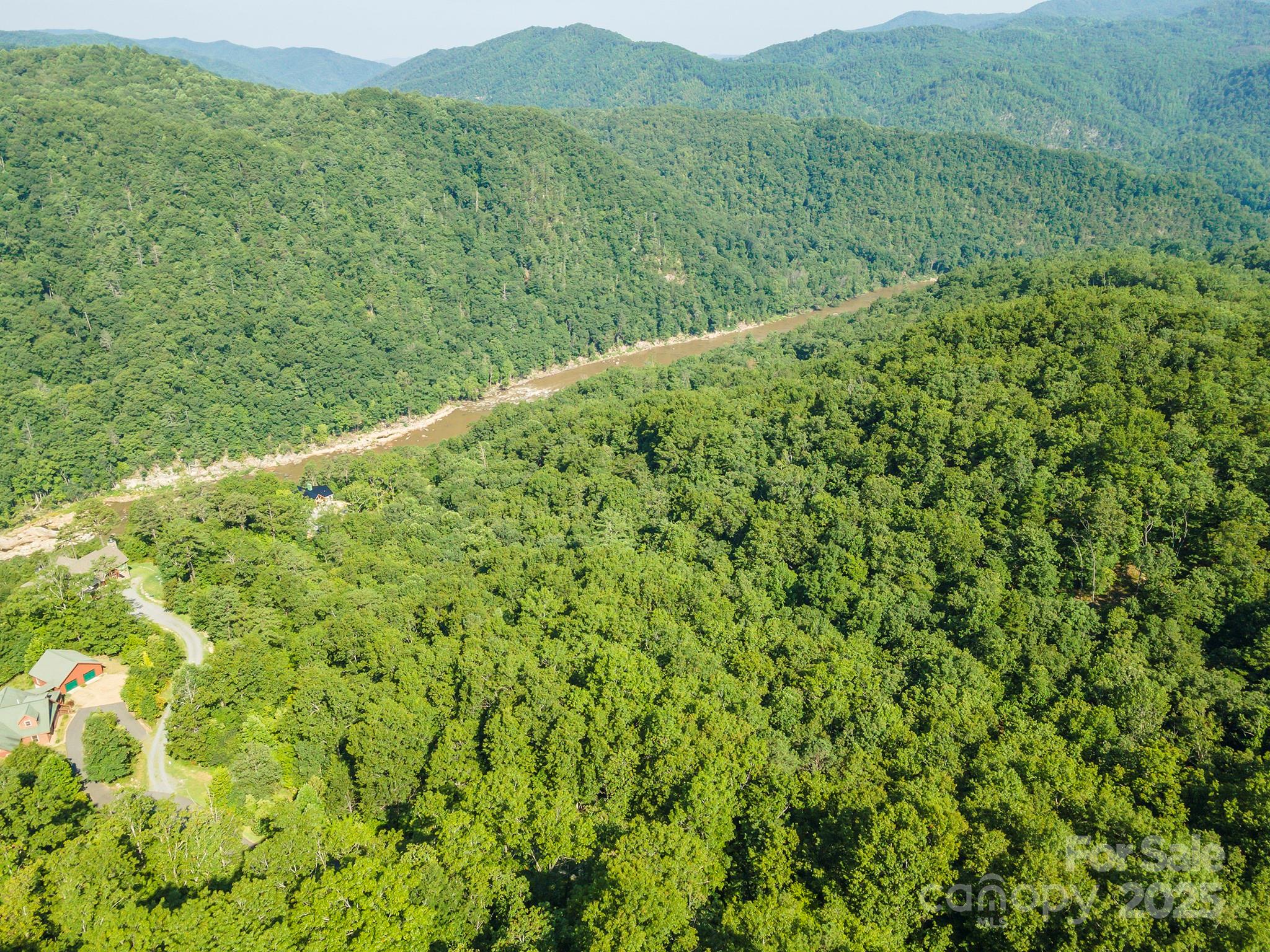 230 White Rapid Road Marshall, NC 28753 - Photo 6 of 29 a view of a lush green forest with a mountain