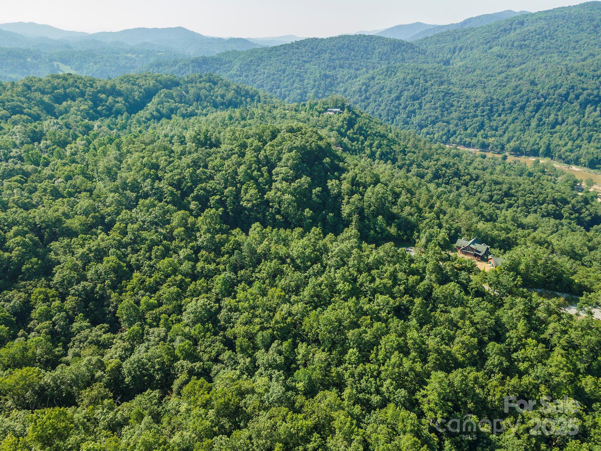 230 White Rapid Road Marshall, NC 28753 - Photo 7 of 29 a view of a lush green forest with lush green forest