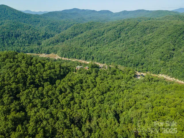 a view of a lush green forest with trees in the background