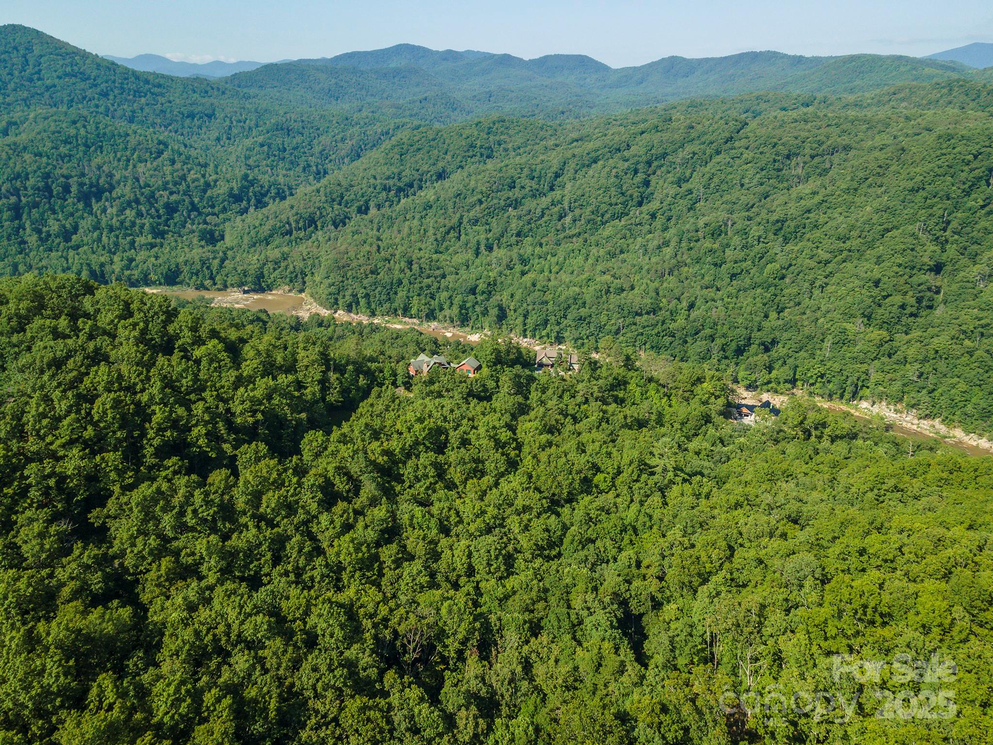 230 White Rapid Road Marshall, NC 28753 - Photo 8 of 29 a view of a lush green forest with trees in the background