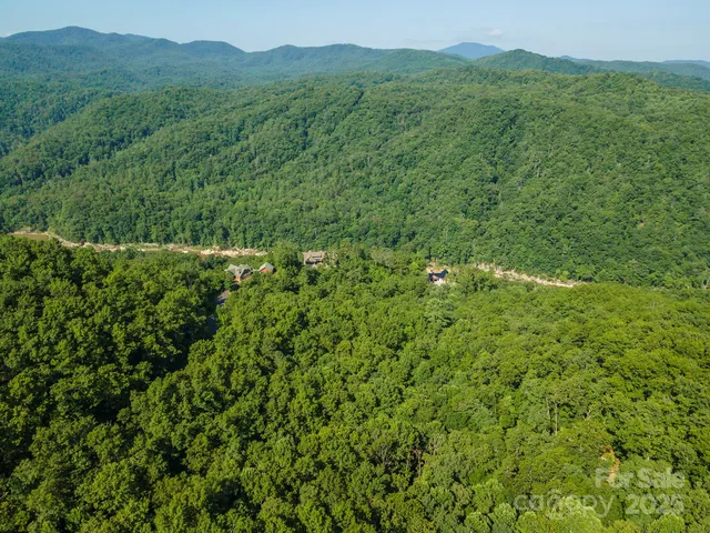 a view of a lush green forest with trees and some houses