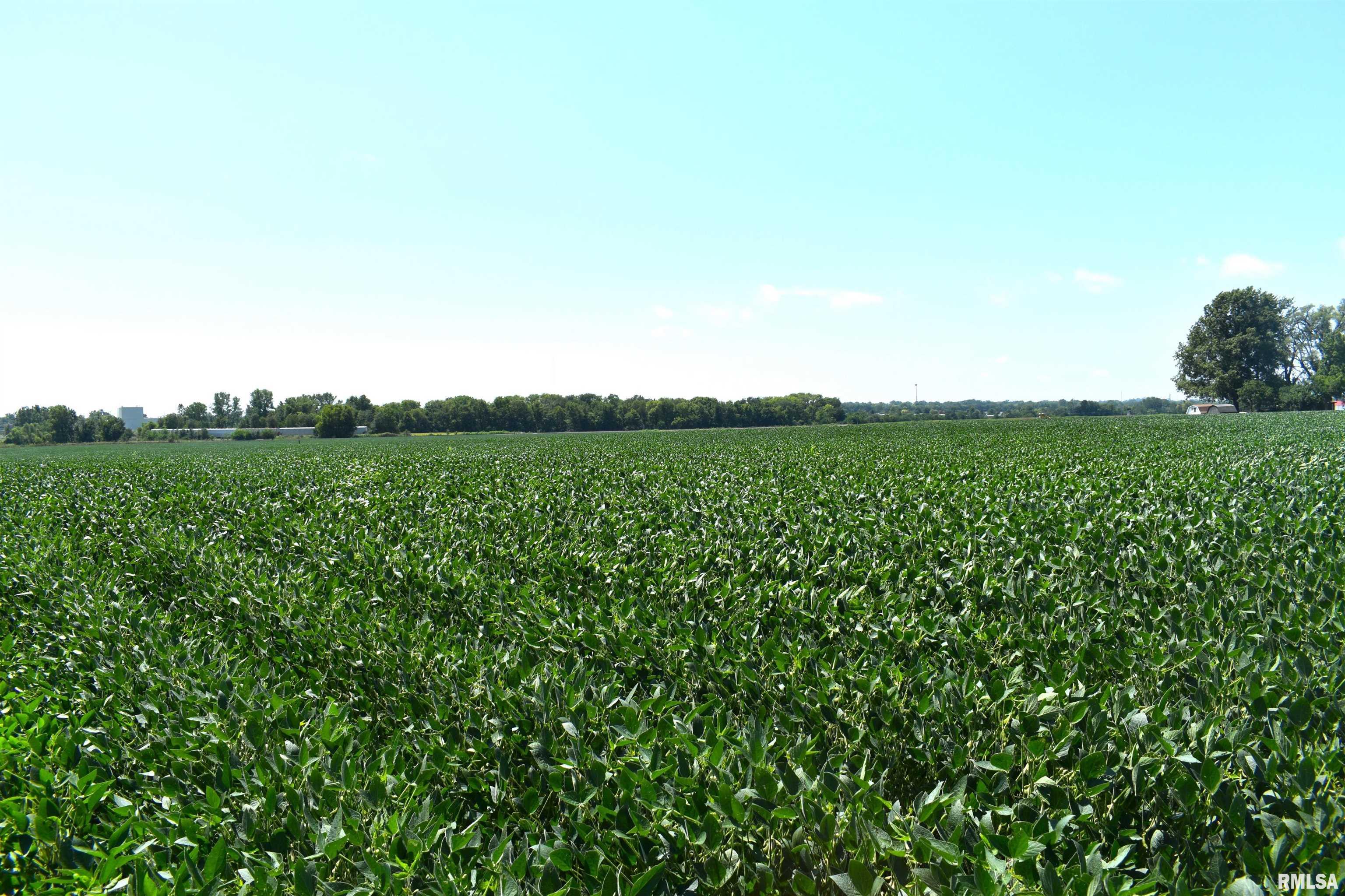 Old State Road Jacksonville, IL 62650 - Photo 14 of 14