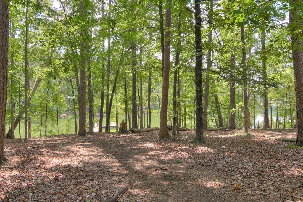 0 Sturkey Ferry Road Plum Branch, SC 29845 - Photo 20 of 21 Photo 20