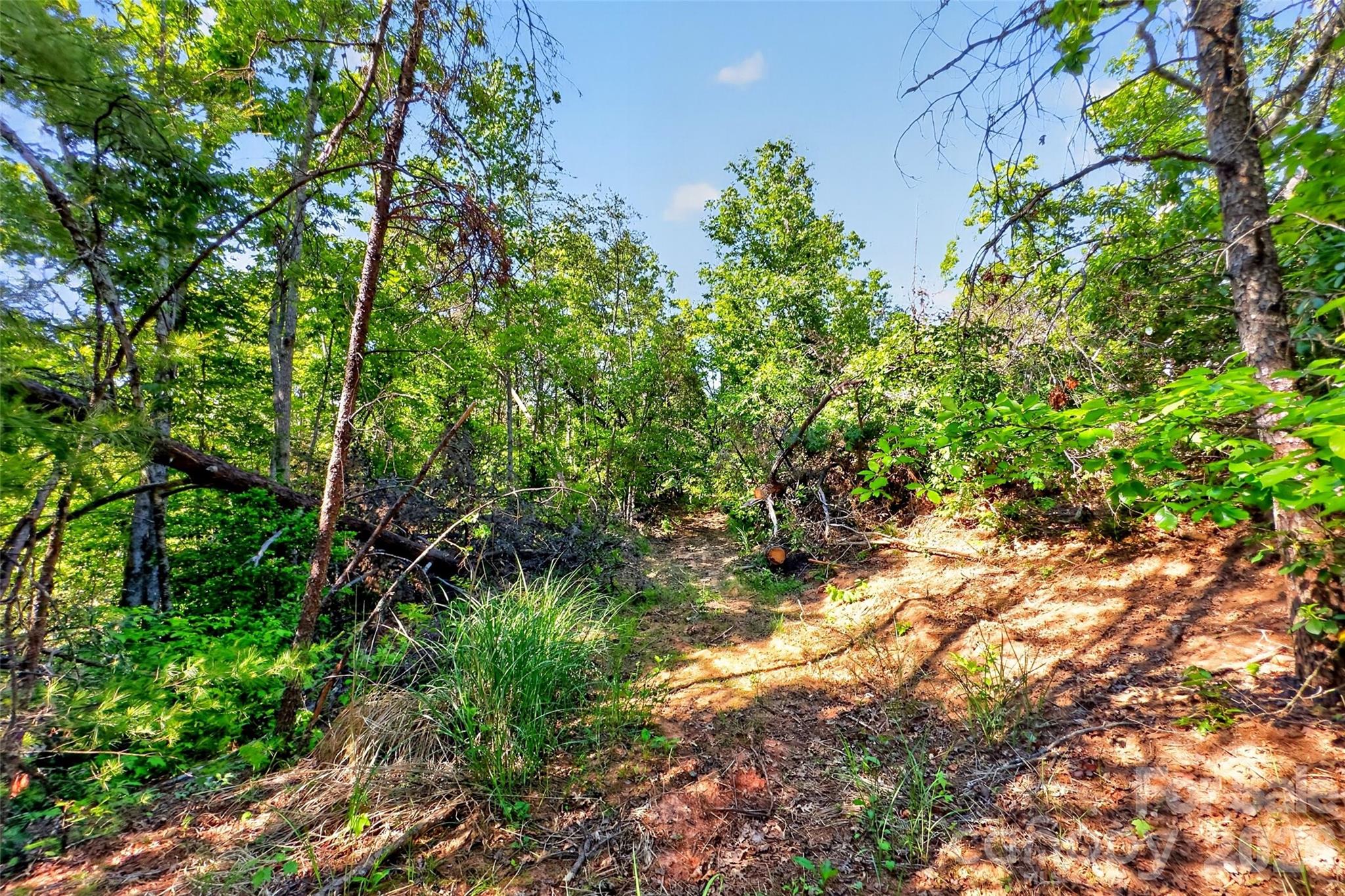 3361 Bethlehem Road Old Fort, NC 28762 - Photo 39 of 47