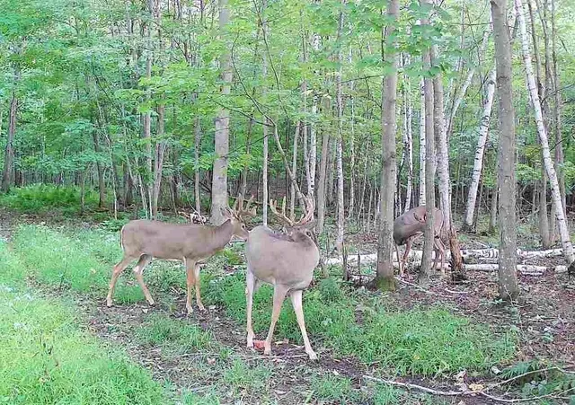 $208,950 | 65 Amery Wi 54001, Amery, WI 54001