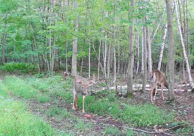 $208,950 | 65 Amery Wi 54001, Amery, WI 54001