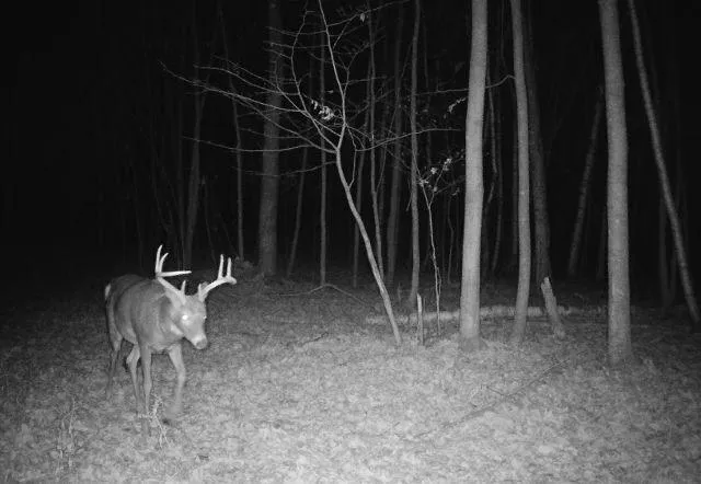 $208,950 | 65 Amery Wi 54001, Amery, WI 54001