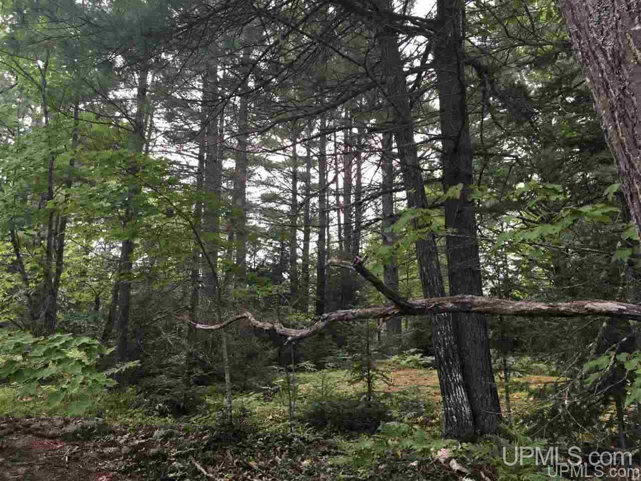 M35 Ne Negaunee, MI 49866 - Photo 3 of 17 Gallery Image 3