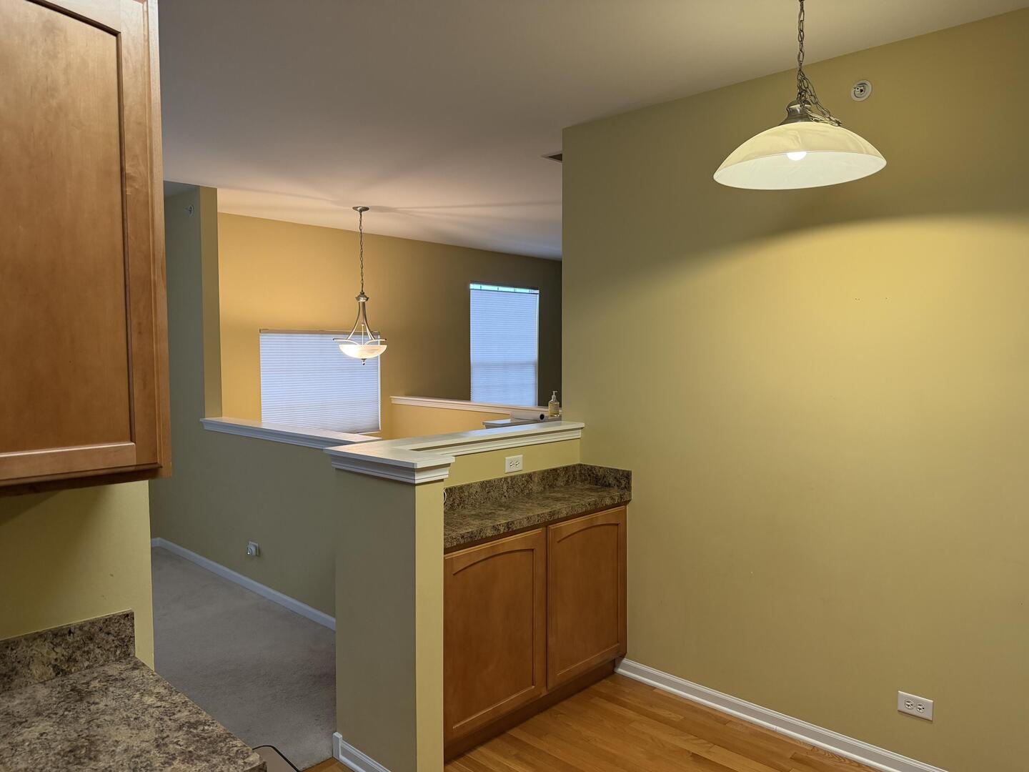 3050 Nicklaus Lane Wadsworth, IL 60083 - Photo 5 of 15