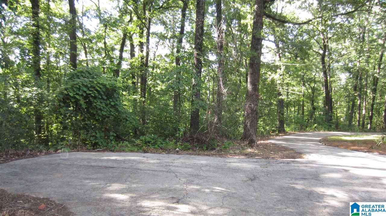 5951 Red Hollow Road Birmingham, AL 35215 - Photo 6 of 40
