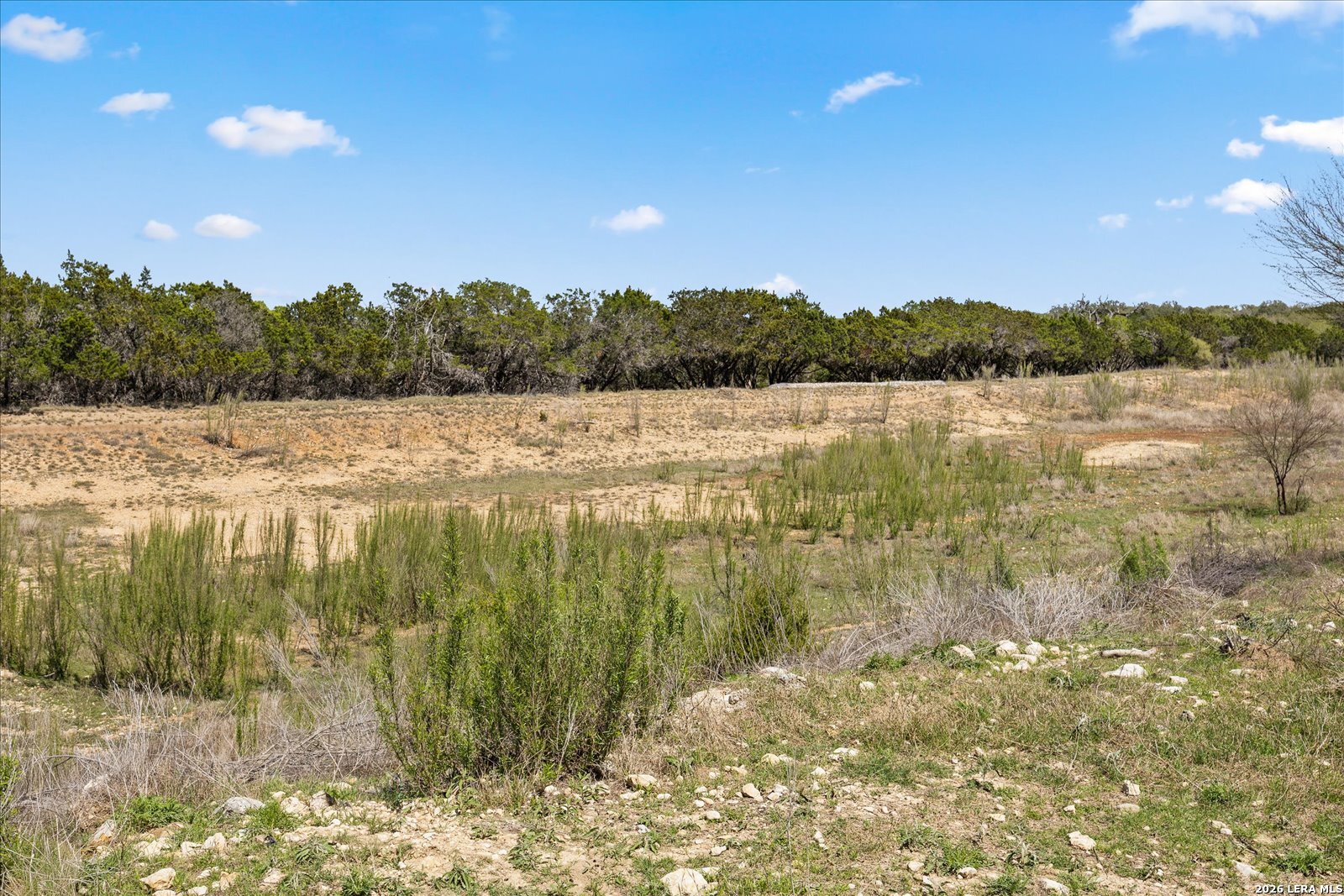 29739 Elkhorn Ridge Fair Oaks Ranch, TX 78015 - Photo 39 of 48