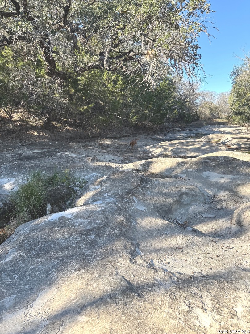 29739 Elkhorn Ridge Fair Oaks Ranch, TX 78015 - Photo 45 of 48