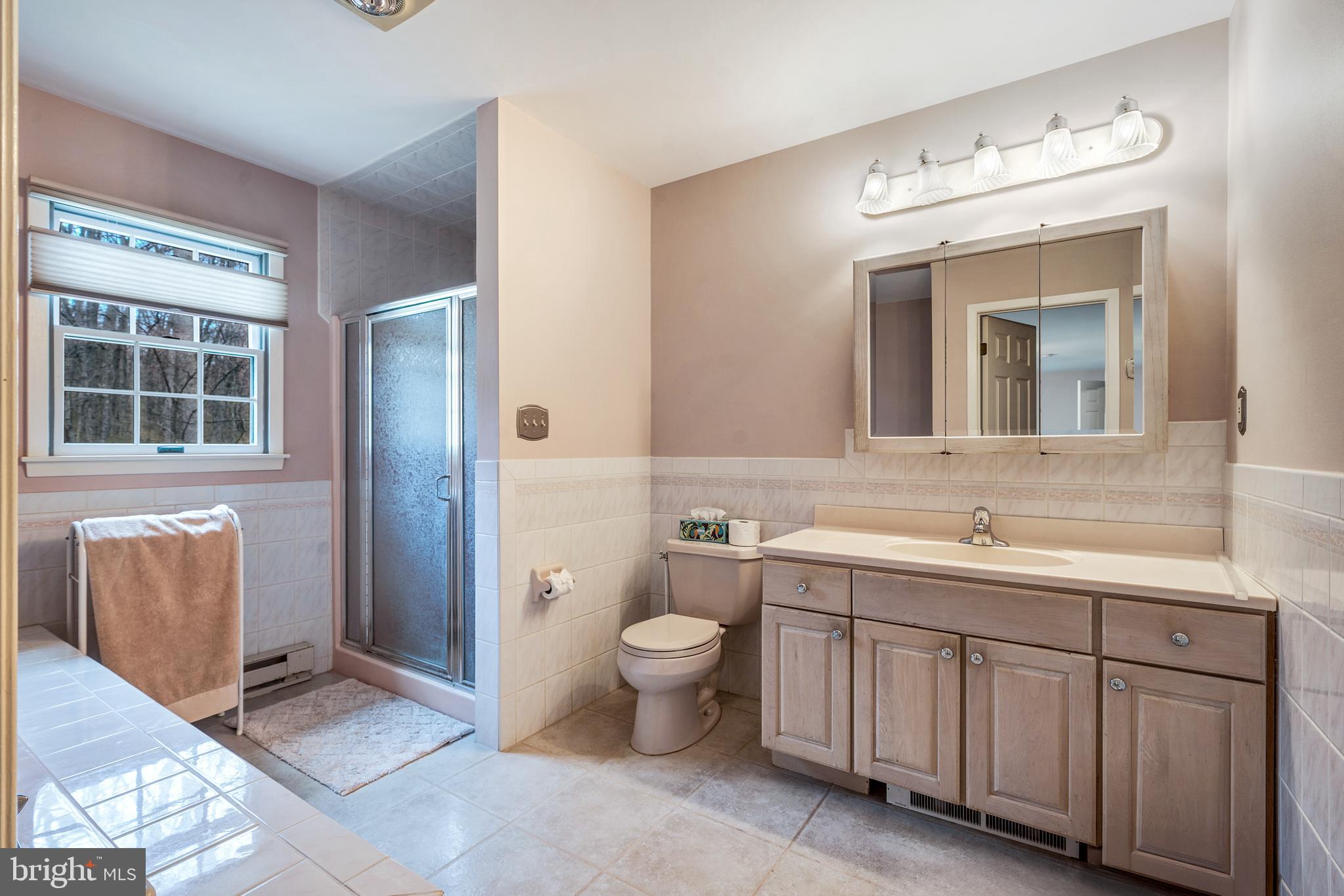 169 East Mountain Road Hillsborough, NJ 08844 - Photo 22 of 29 a bathroom with a toilet sink and mirror