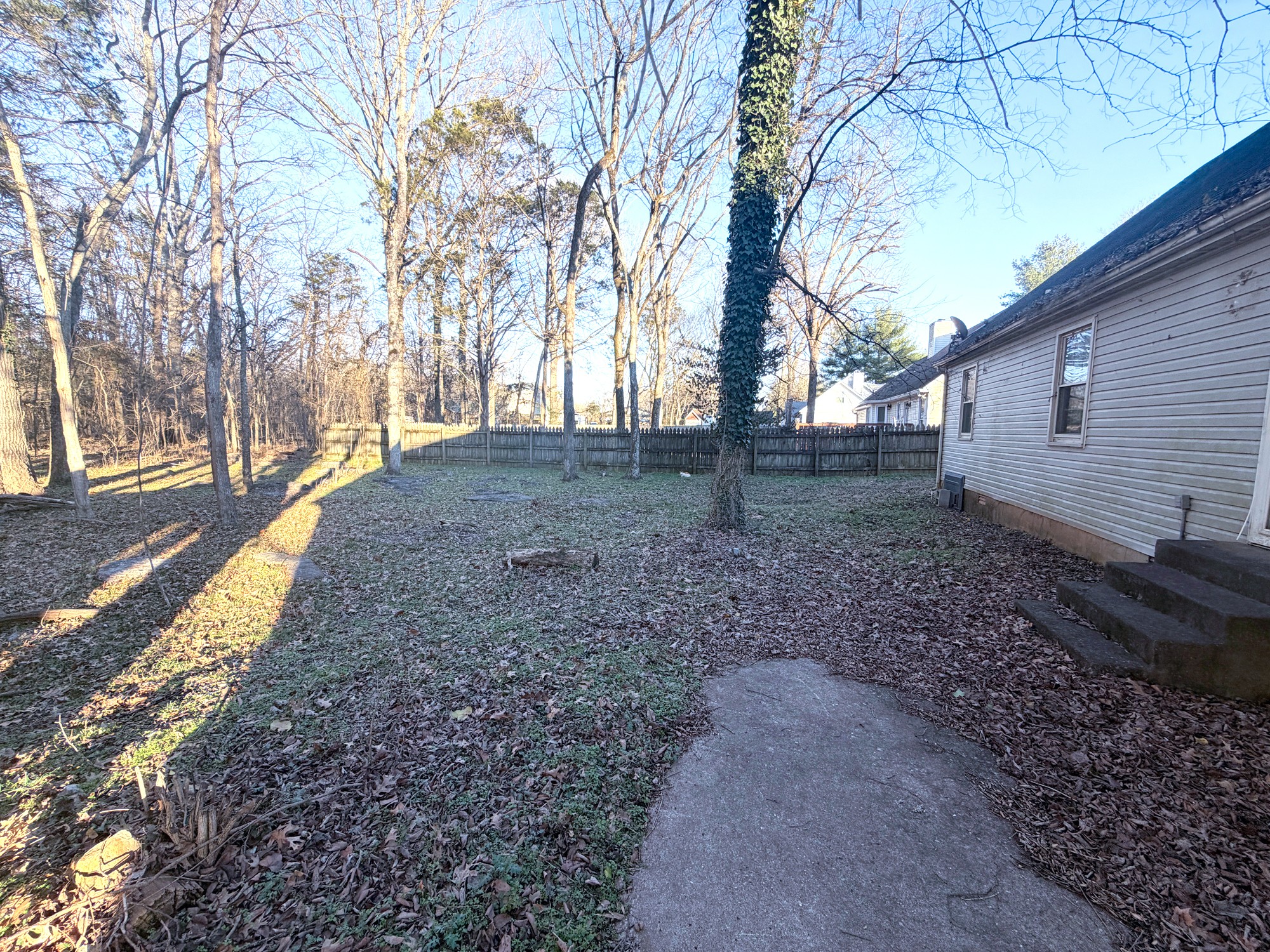 3012 Settlers Road Murfreesboro, TN 37129 - Photo 4 of 7 a view of a yard with a tree