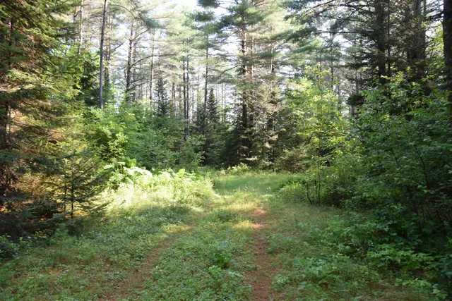 $299,000 | 6 The Pines Drive, New Portland, ME 04961