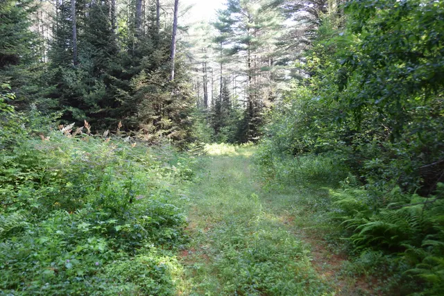 $299,000 | 6 The Pines Drive, New Portland, ME 04961