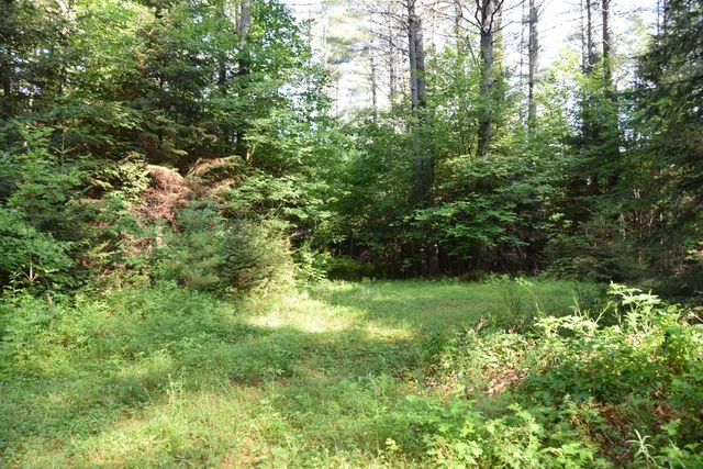 $299,000 | 6 The Pines Drive, New Portland, ME 04961