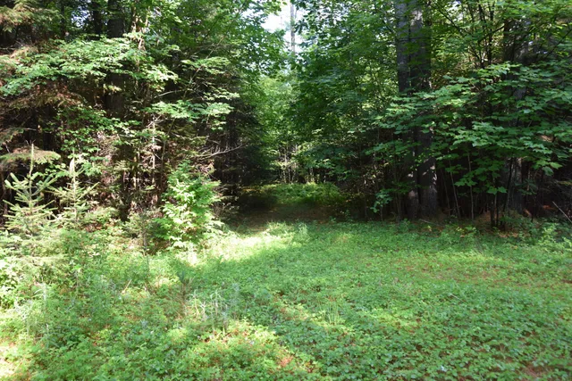 $299,000 | 6 The Pines Drive, New Portland, ME 04961