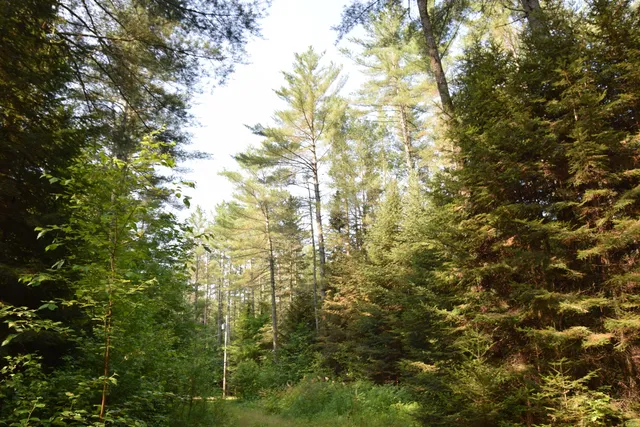 $299,000 | 6 The Pines Drive, New Portland, ME 04961