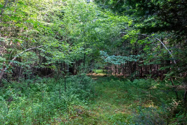 $299,000 | 6 The Pines Drive, New Portland, ME 04961