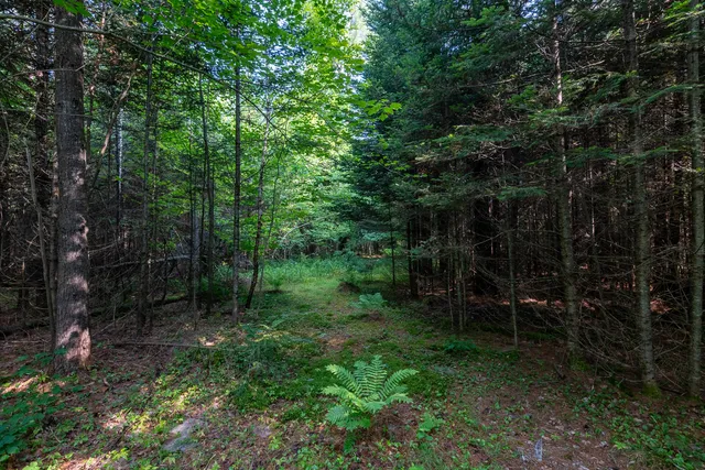 $299,000 | 6 The Pines Drive, New Portland, ME 04961