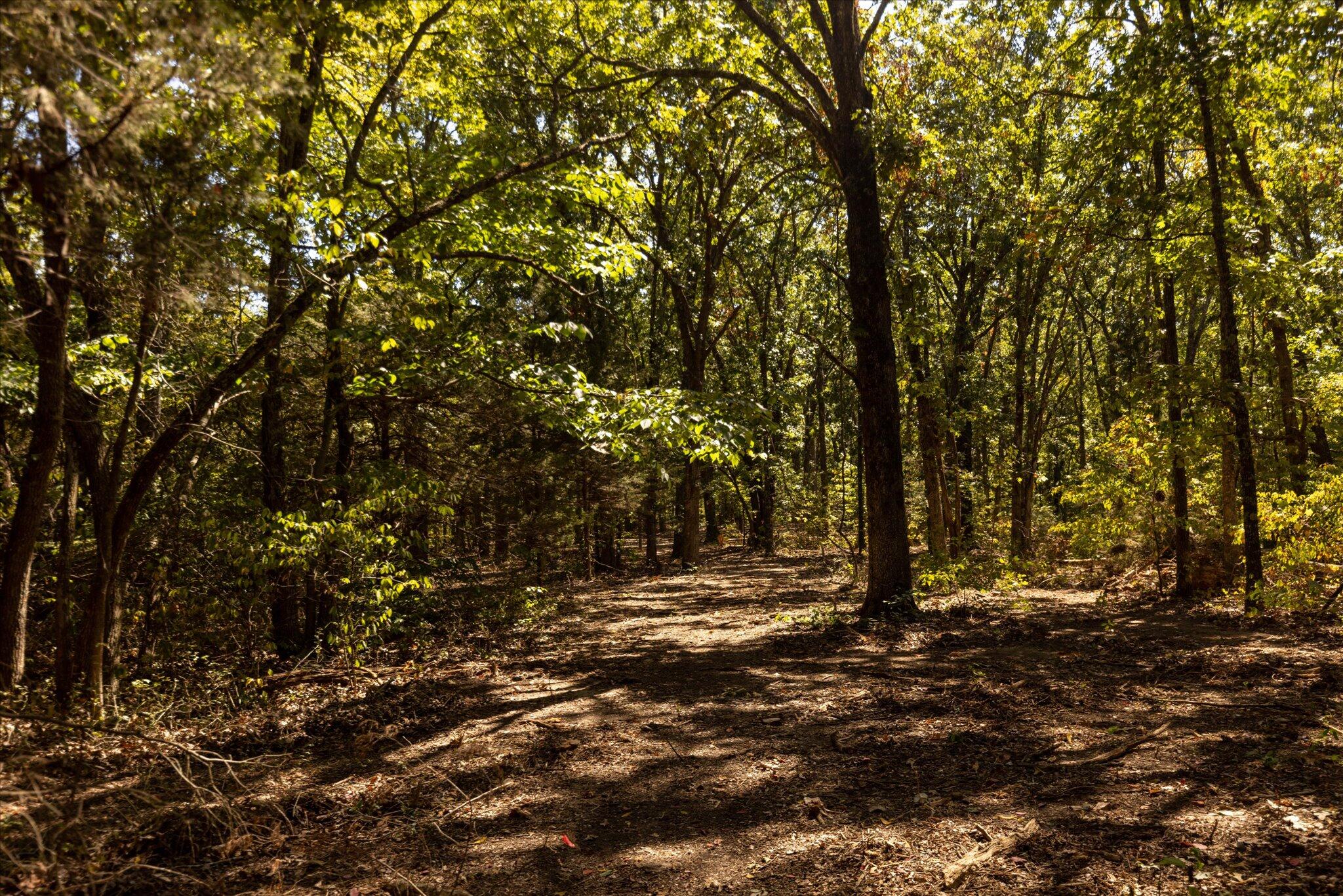 0 Watts Road Rogersville, MO 65742 - Photo 44 of 51 44-HT9A5673