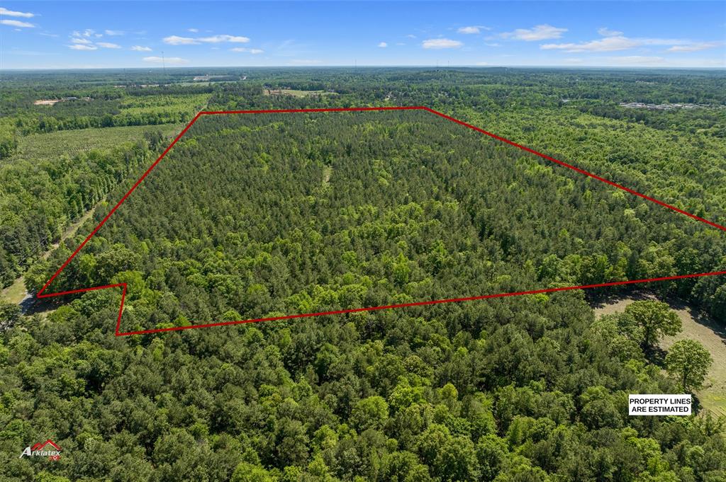 0 Highway 157 Princeton, LA 71067 - Photo 2 of 9 a view of a city with lush green forest