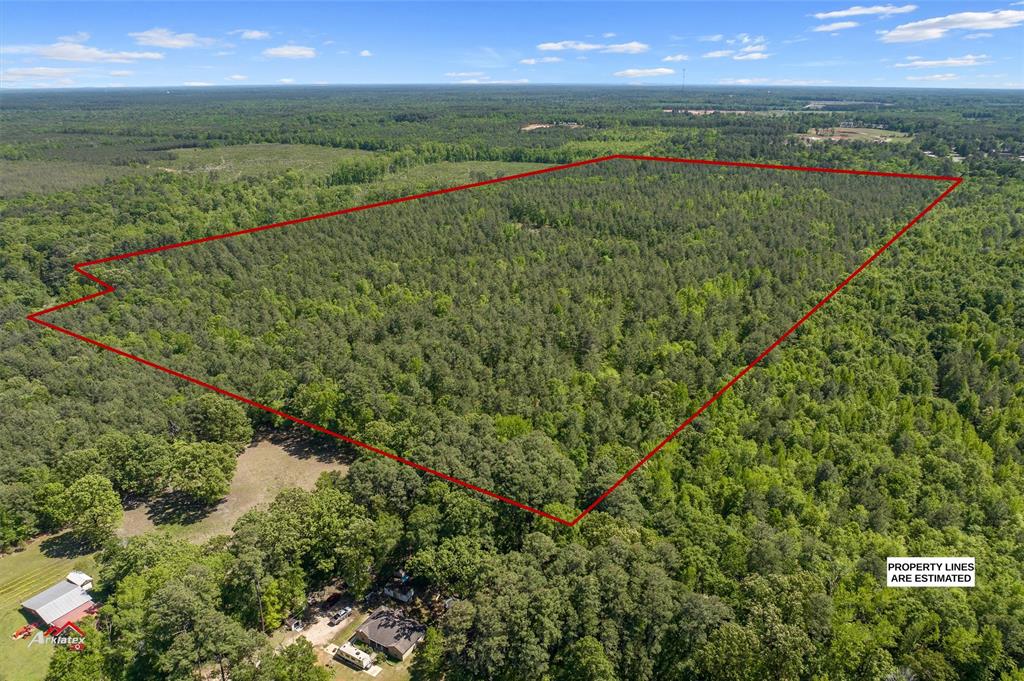 0 Highway 157 Princeton, LA 71067 - Photo 3 of 9 a view of mountain view with lake view