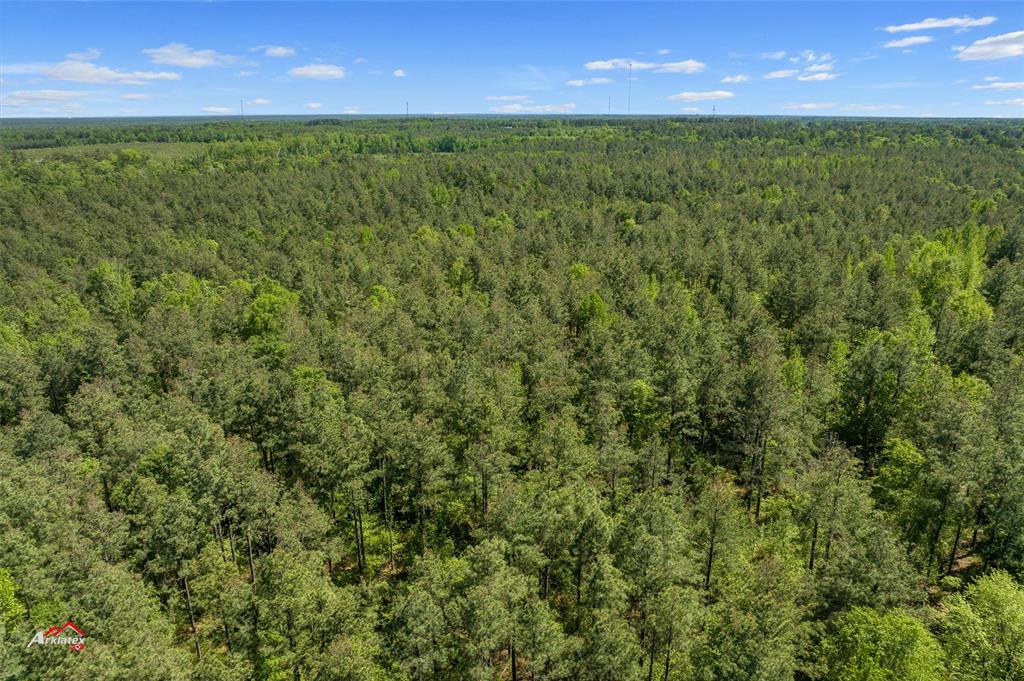 0 Highway 157 Princeton, LA 71067 - Photo 4 of 9 a view of an outdoor space and a lake view