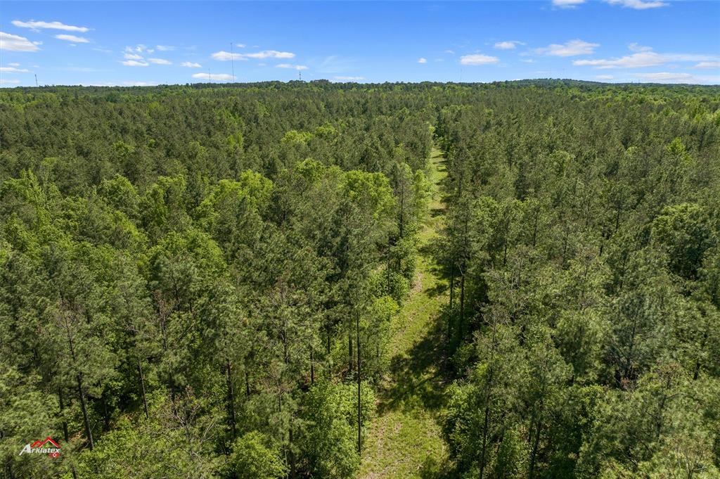0 Highway 157 Princeton, LA 71067 - Photo 5 of 9 a view of a yard with a house in the background