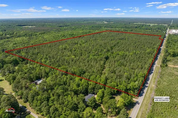 a view of a garden from a balcony