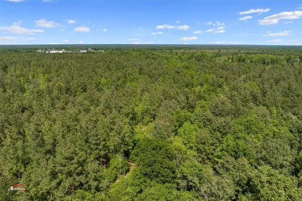a view of a yard with an outdoor space