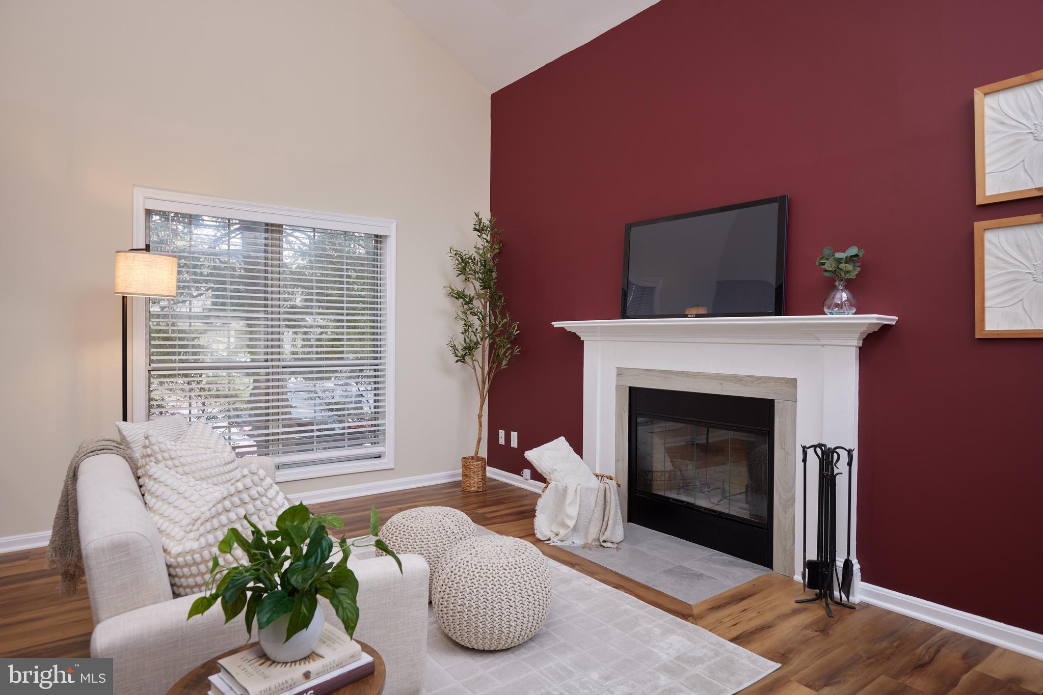 20100 Loading Rock Place Gaithersburg, MD 20886 - Photo 15 of 44 a living room with furniture and a fireplace