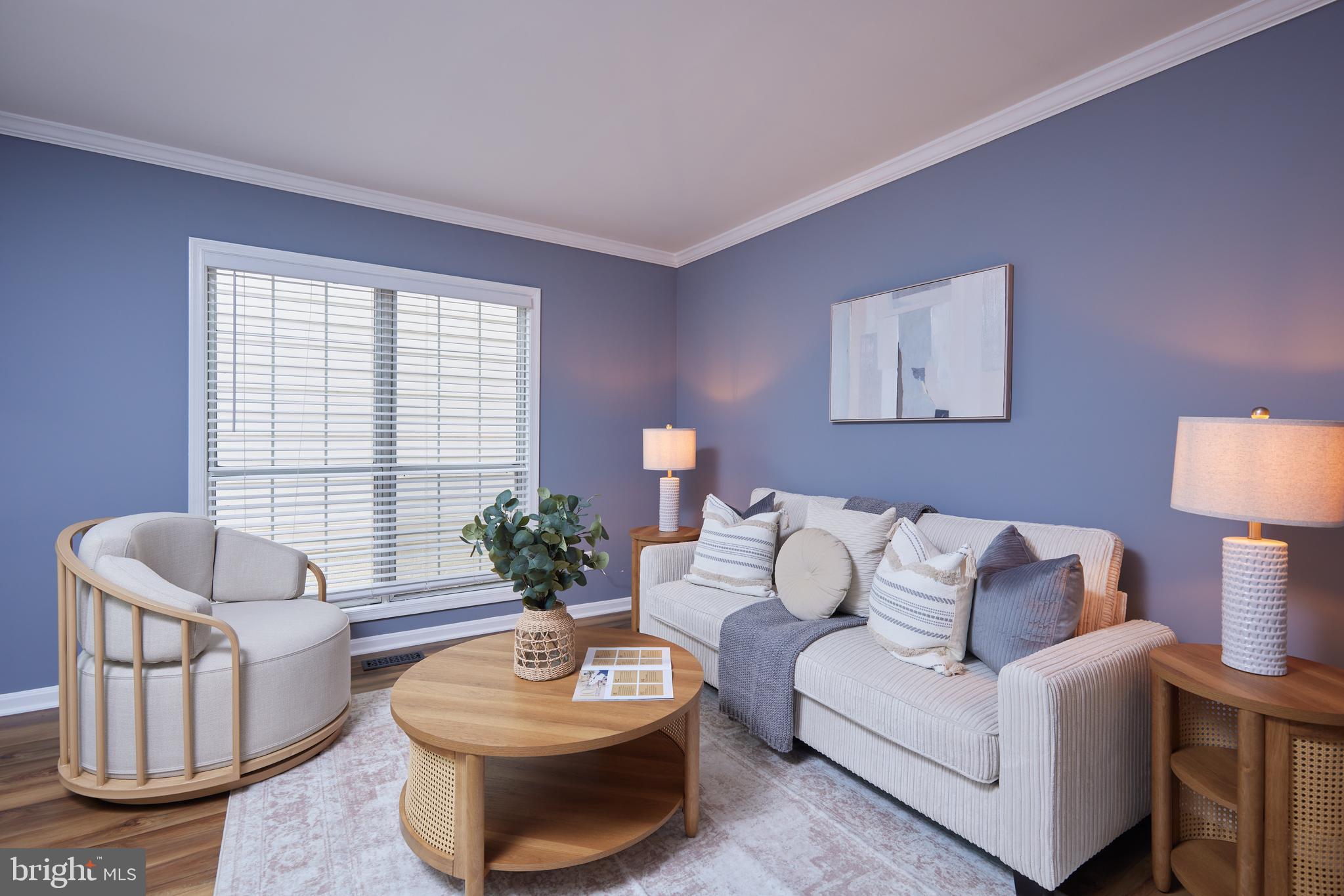 20100 Loading Rock Place Gaithersburg, MD 20886 - Photo 10 of 44 a living room with furniture and a potted plant