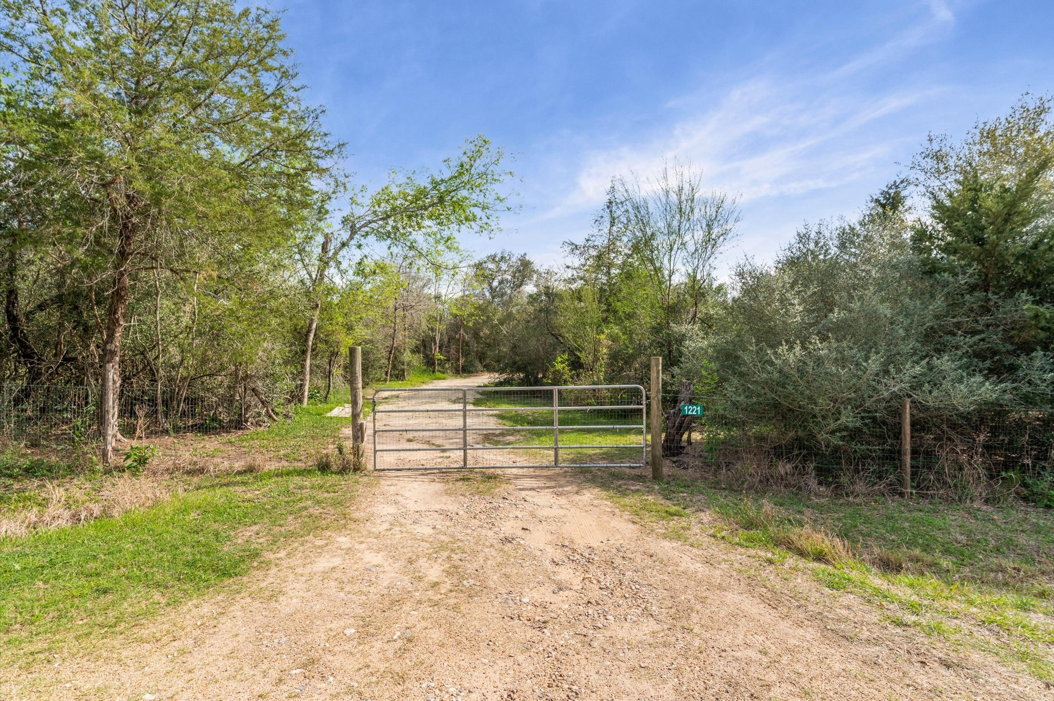 1221 Abel Road New Ulm, TX 78950 - Photo 1 of 15 a view of a park with large trees
