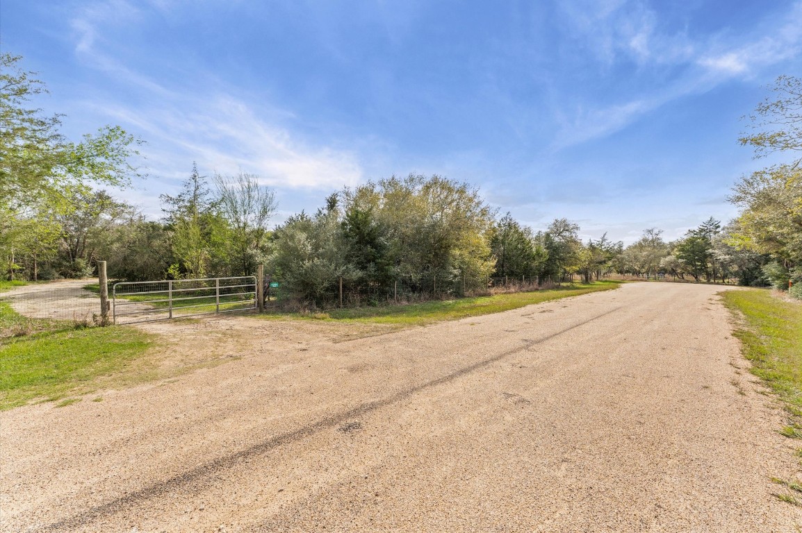 1221 Abel Road New Ulm, TX 78950 - Photo 15 of 15 a view of a backyard