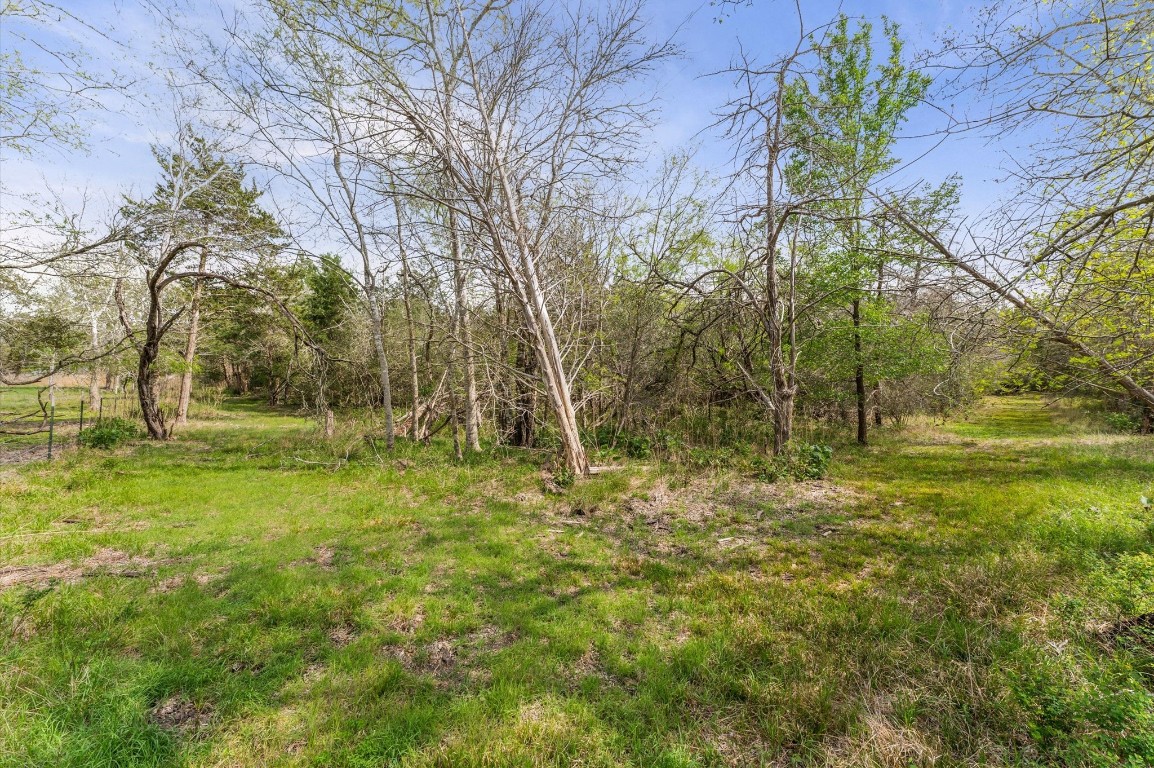 1221 Abel Road New Ulm, TX 78950 - Photo 2 of 15 a view of outdoor space with trees all around